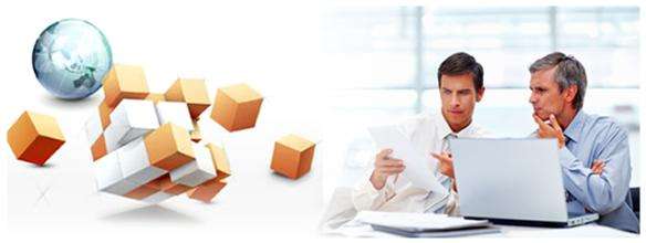 軟件開(kāi)發(fā)服務(wù)